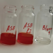 First report of Halomicrobium mukohataei ...